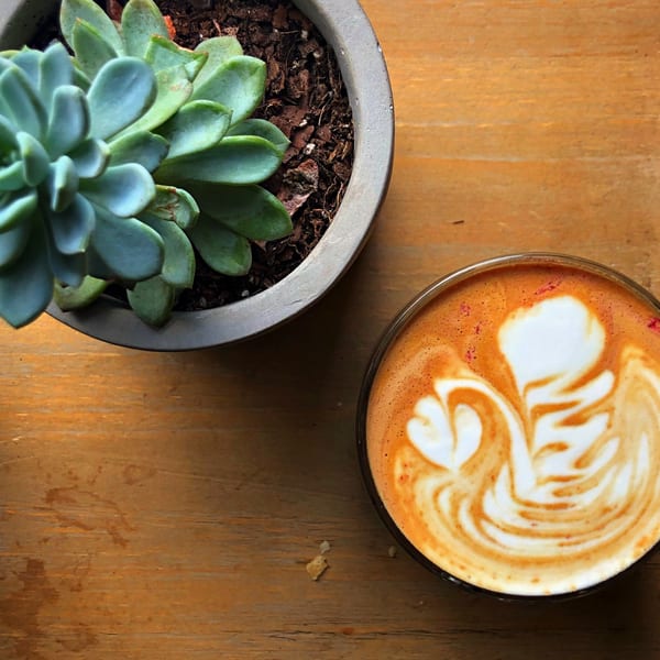 Overhead view of a latte with swan art next to a potted succulent on a wooden table.
